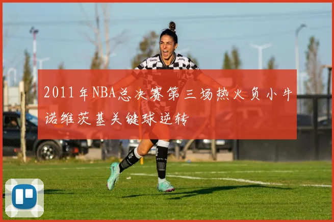 2011年NBA总决赛第三场热火负小牛诺维茨基关键球逆转