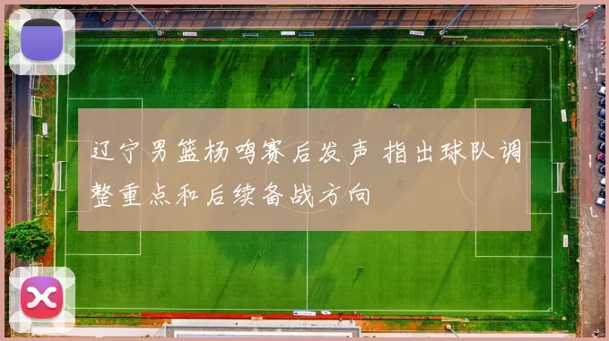 辽宁男篮杨鸣赛后发声 指出球队调整重点和后续备战方向